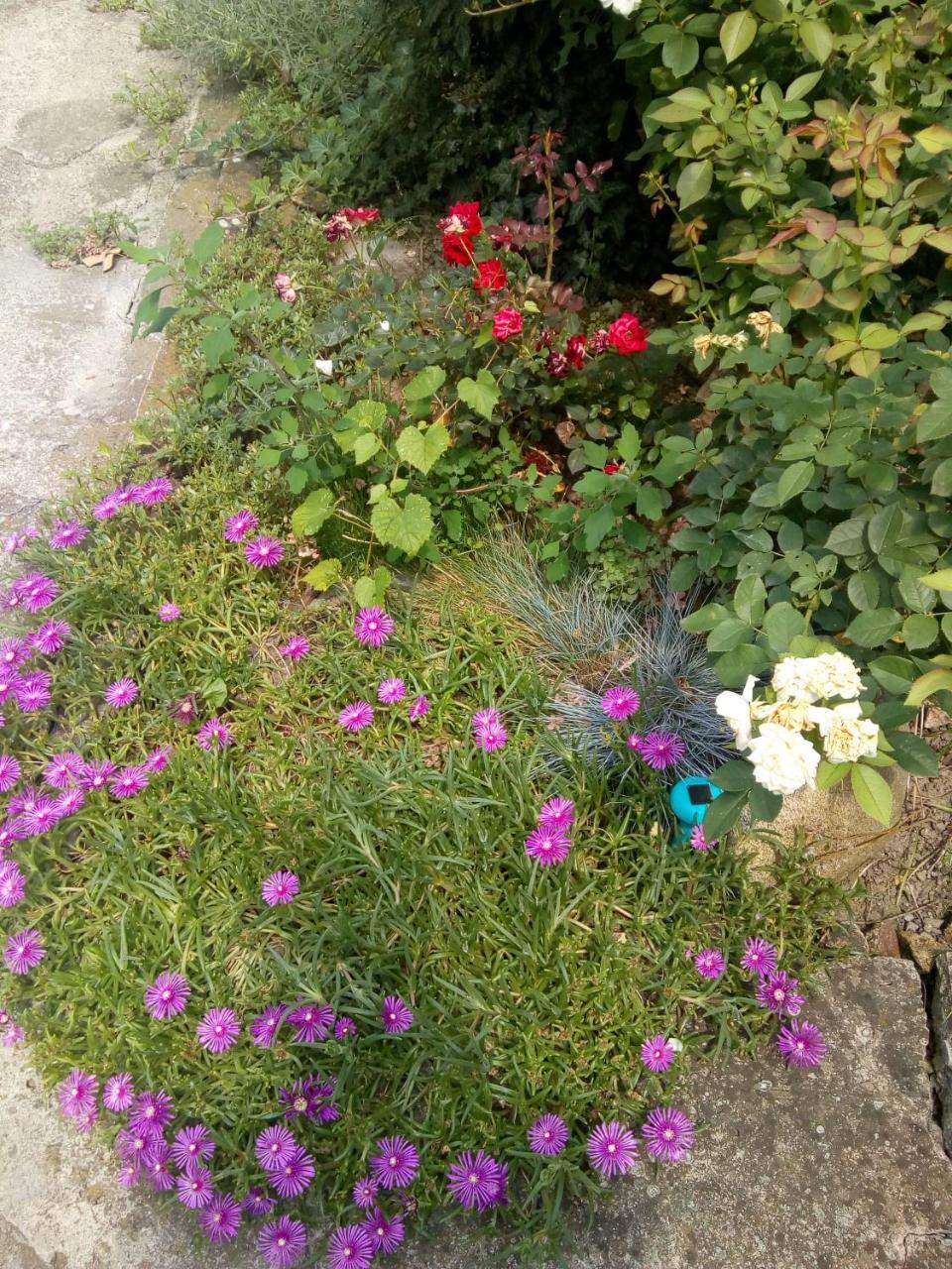 Beograd - Apartman "Gardos" Екстер'єр фото